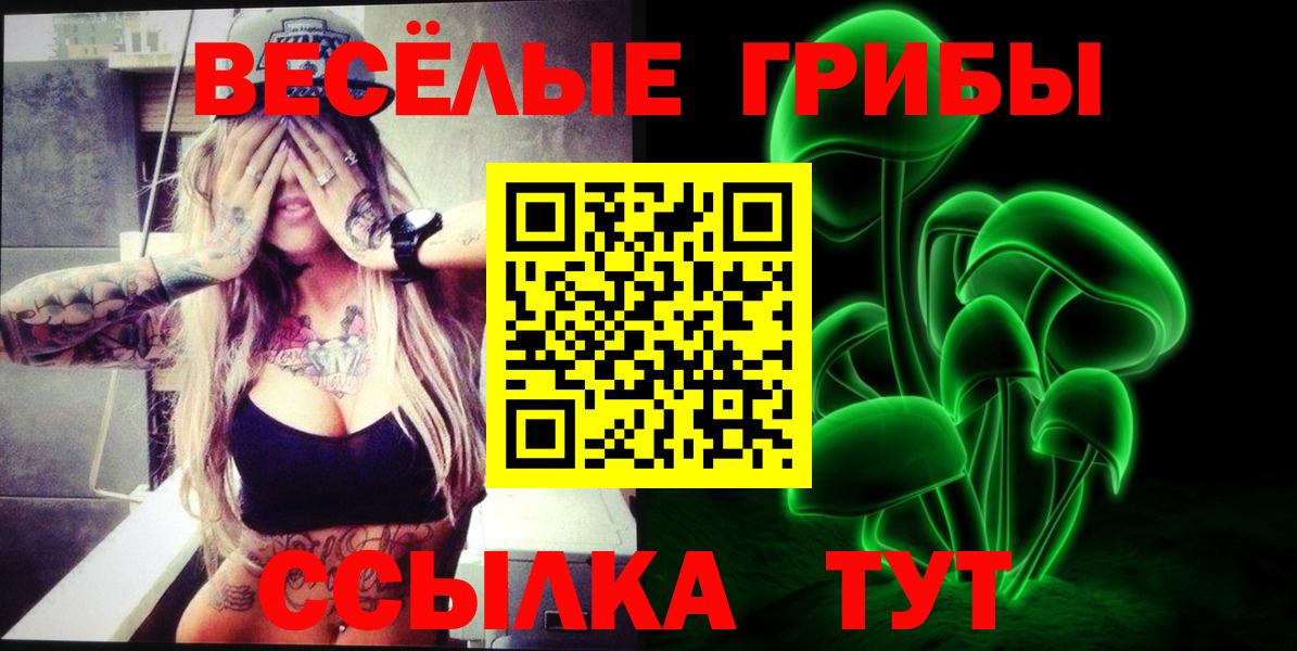 Грязи  Галлюциногенные грибы мухоморы  Вход с VPN 